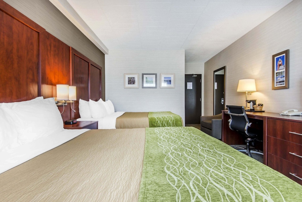 Room, 2 Queen Beds photo 3
