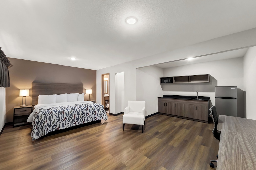 Deluxe Room, 1 King Bed, Non Smoking, Kitchenette - Photo 2