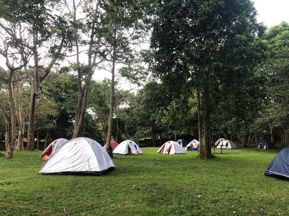 Comfort Tent