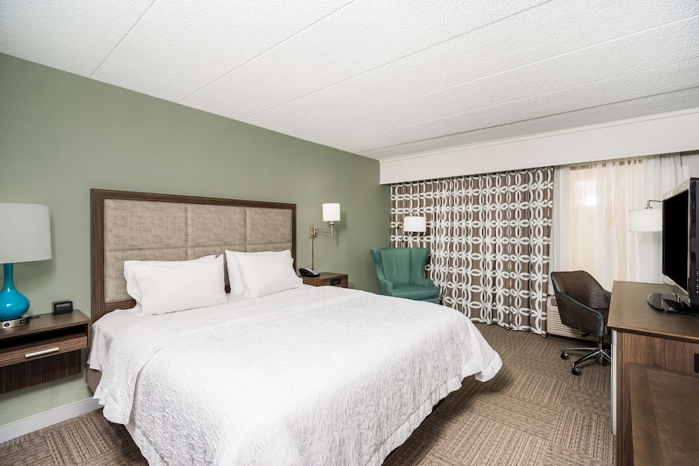 Room, 1 King Bed, Accessible, Non Smoking (Mobility & Hearing, Roll-in Shower) - Photo 1