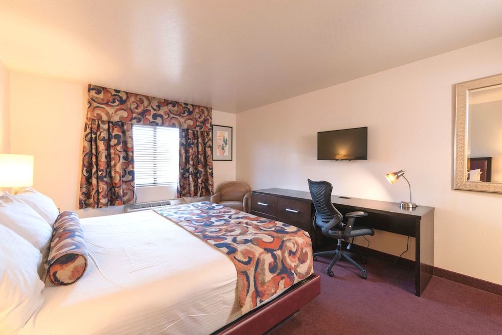 Suite, 1 King Bed with Sofa bed photo 1