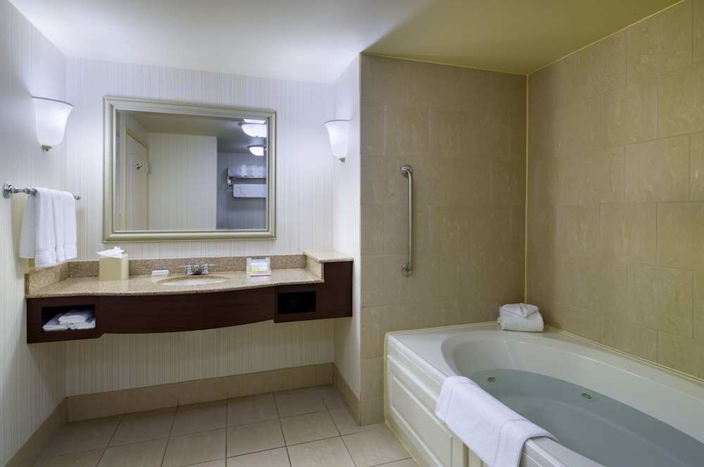 Suite, 1 Bedroom, Jetted Tub - Photo 4