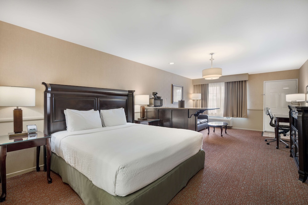 Suite, 1 King Bed, Non Smoking (with Sofabed) - Photo 3