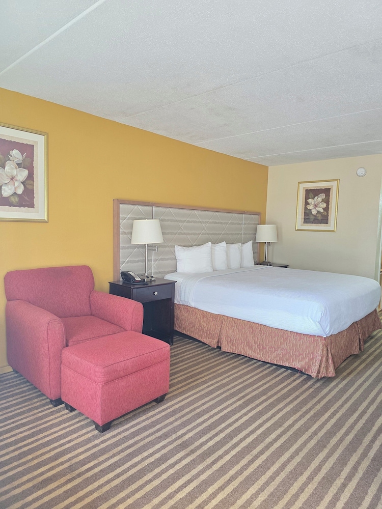 Single Room, 1 King Bed photo 3