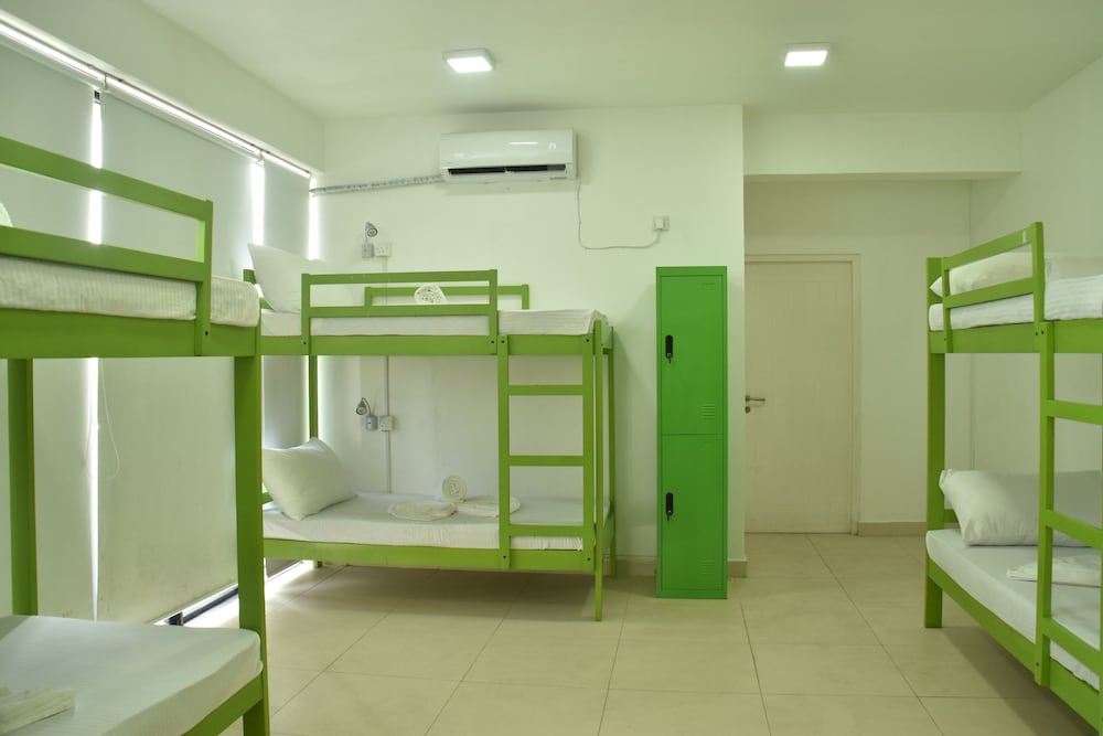 Shared Dormitory, Mixed Dorm