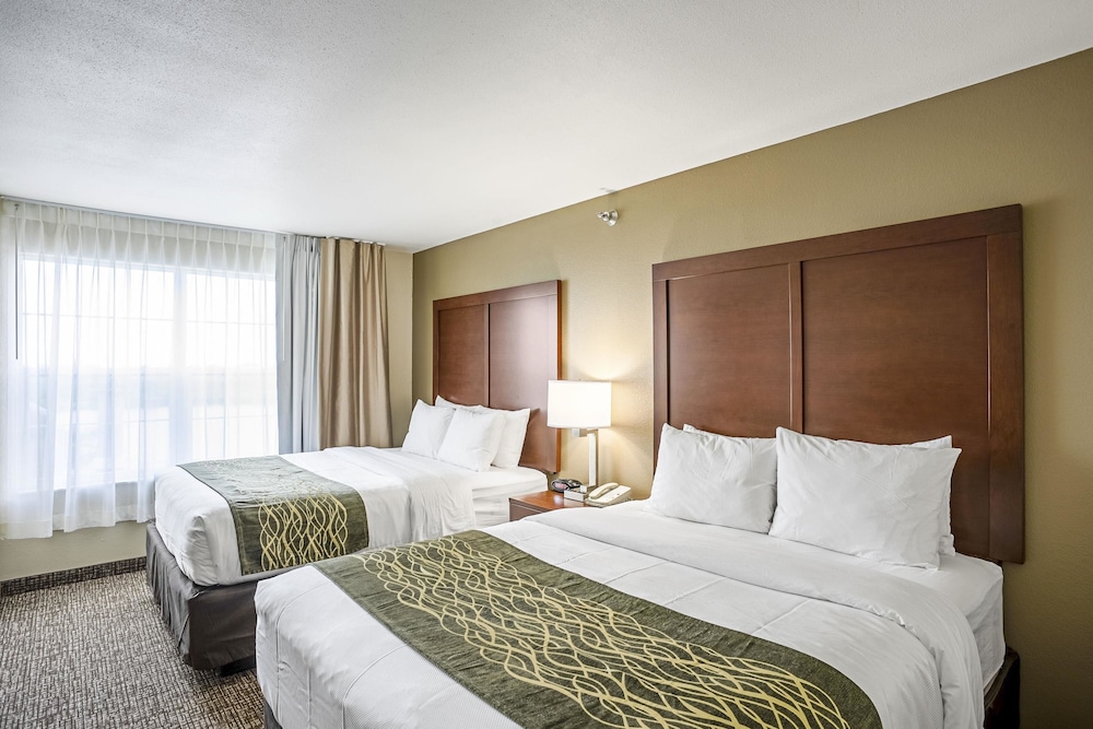 Suite, Multiple Beds, Non Smoking - Photo 2
