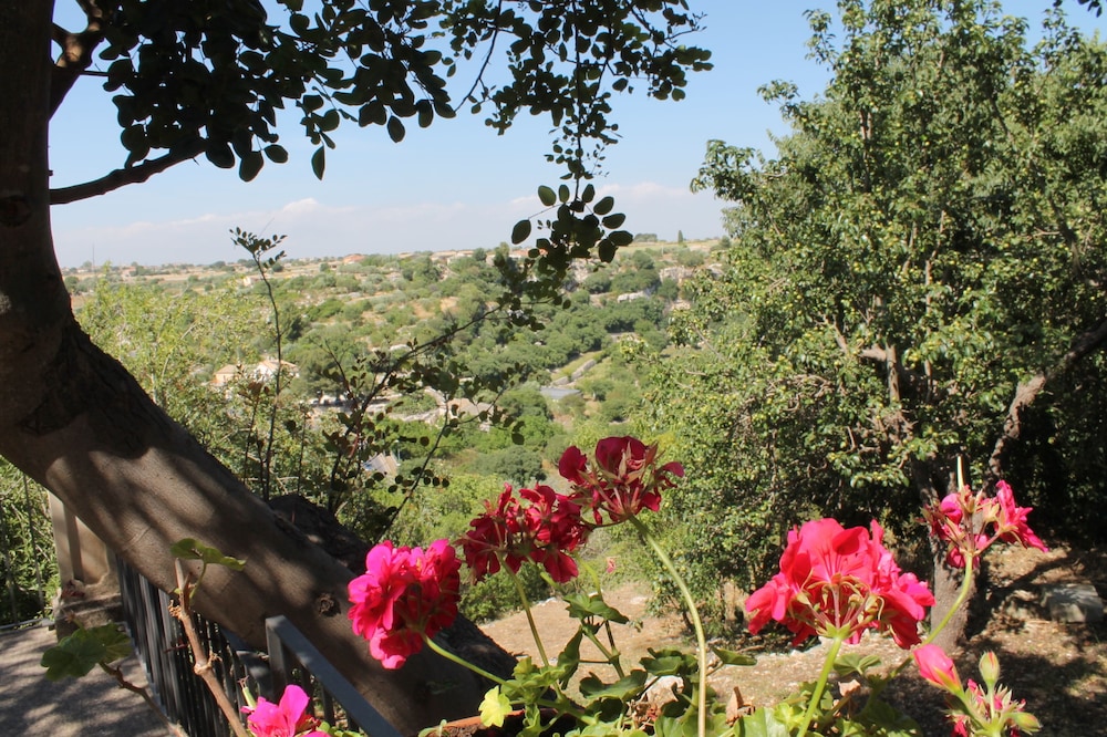 Economy Villa, 2 Bedrooms, Park View photo 3