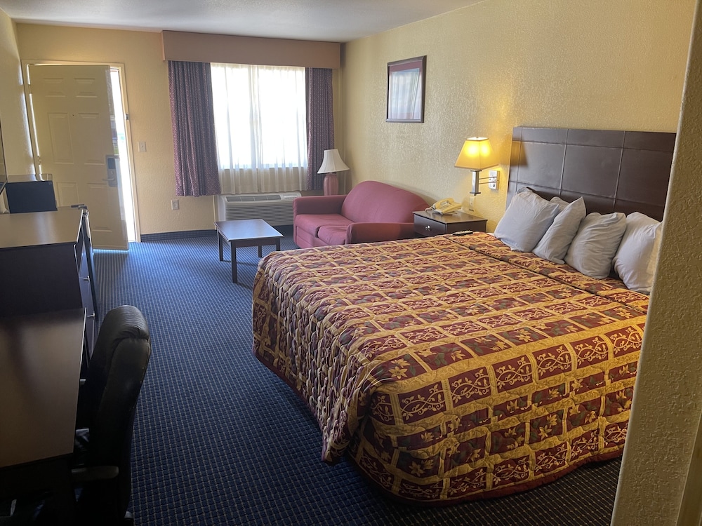 Suite, 1 King Bed photo 3