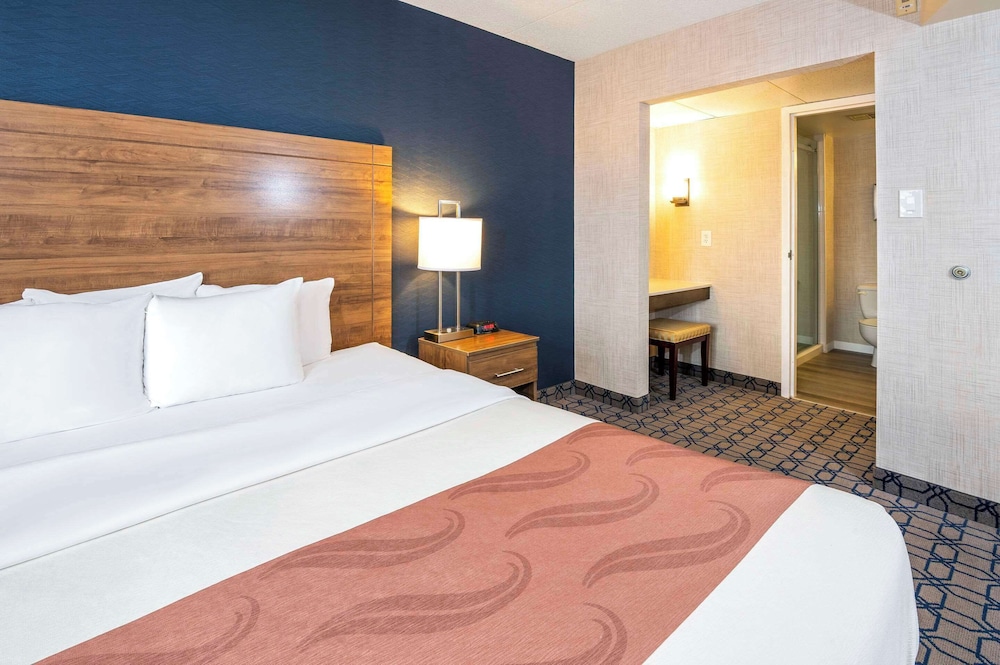 Suite, 1 King Bed With Sofa Bed, Non Smoking (Efficiency, Upgrade) - Photo 7