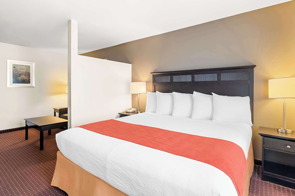 Suite, 1 King Bed, Non Smoking, Microwave (with Sofabed) - Photo 1