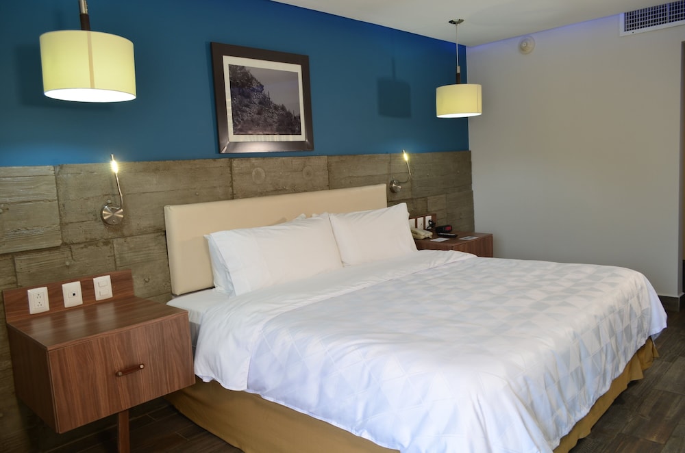 Room, 1 King Bed, Accessible - Photo 5
