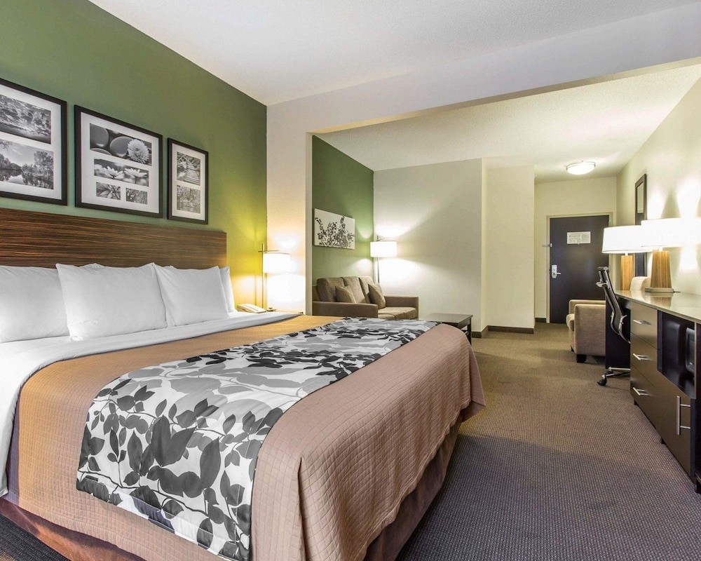 Suite, 1 King Bed - Photo 5