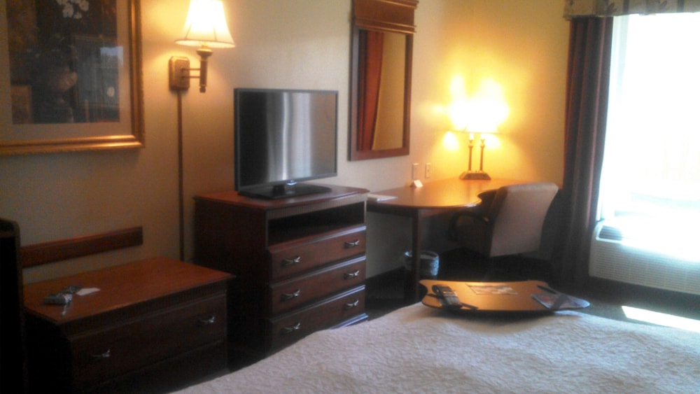 Room, 1 King Bed photo 2