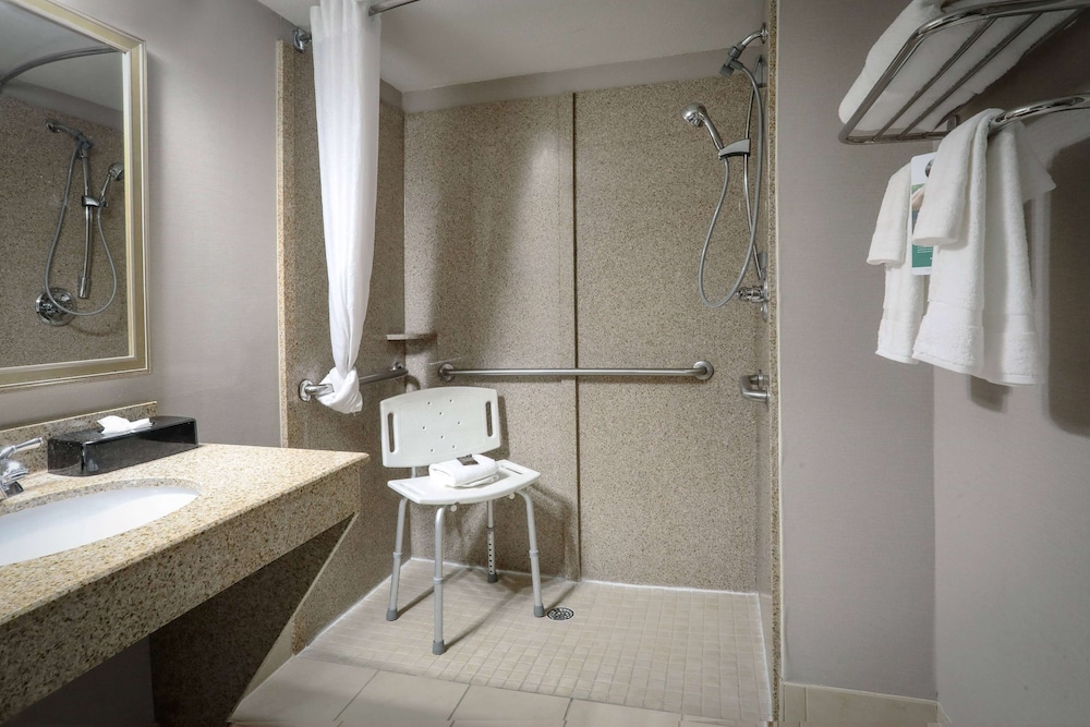 Standard Room, 1 King Bed, Accessible - Photo 4