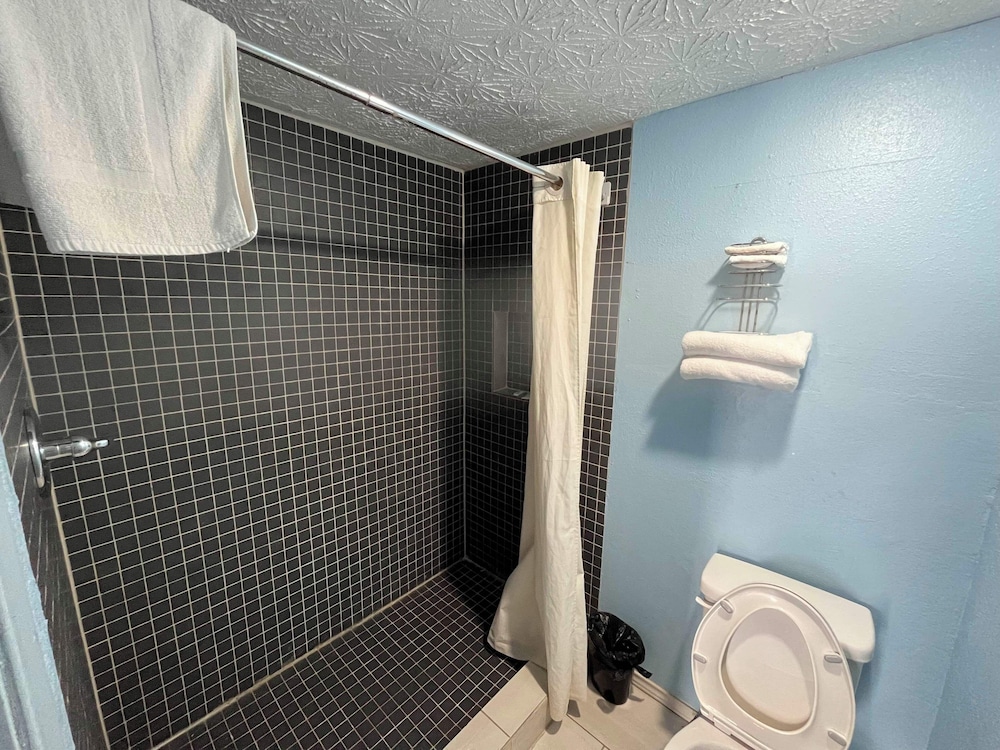 Standard Single Room photo 3