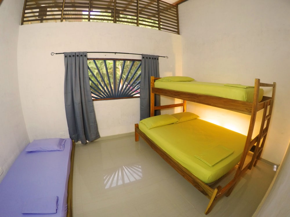 Traditional Room, Garden View photo 2