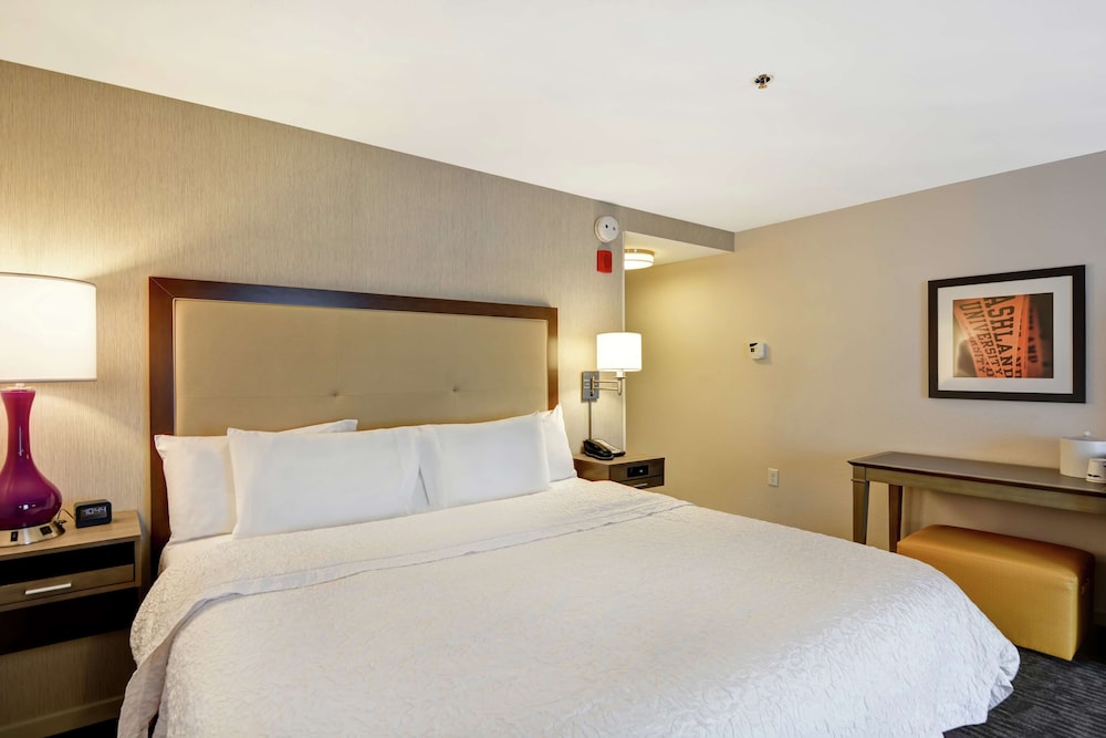 Room, 1 King Bed, Accessible, Non Smoking (Mobility & Hearing, Roll-in Shower)