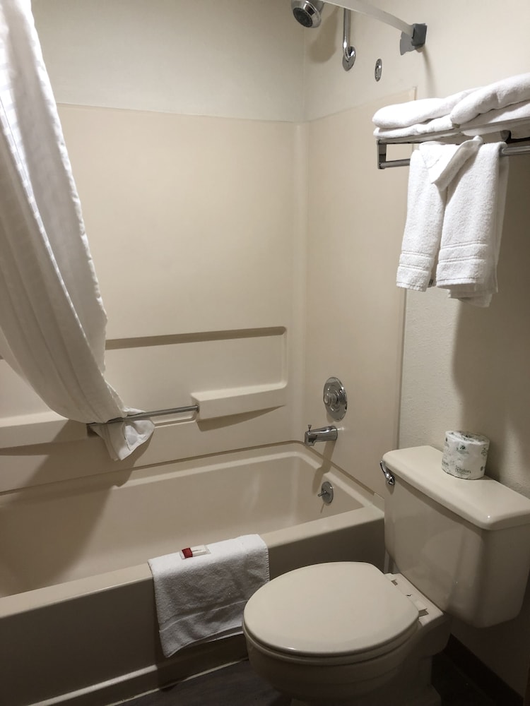 Studio Suite, Multiple Beds, Non Smoking - Photo 4