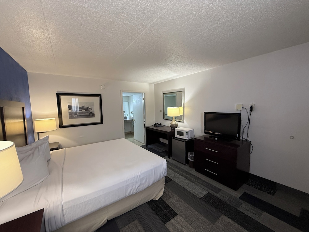 Single Room, 1 King Bed, Mobility Accessible