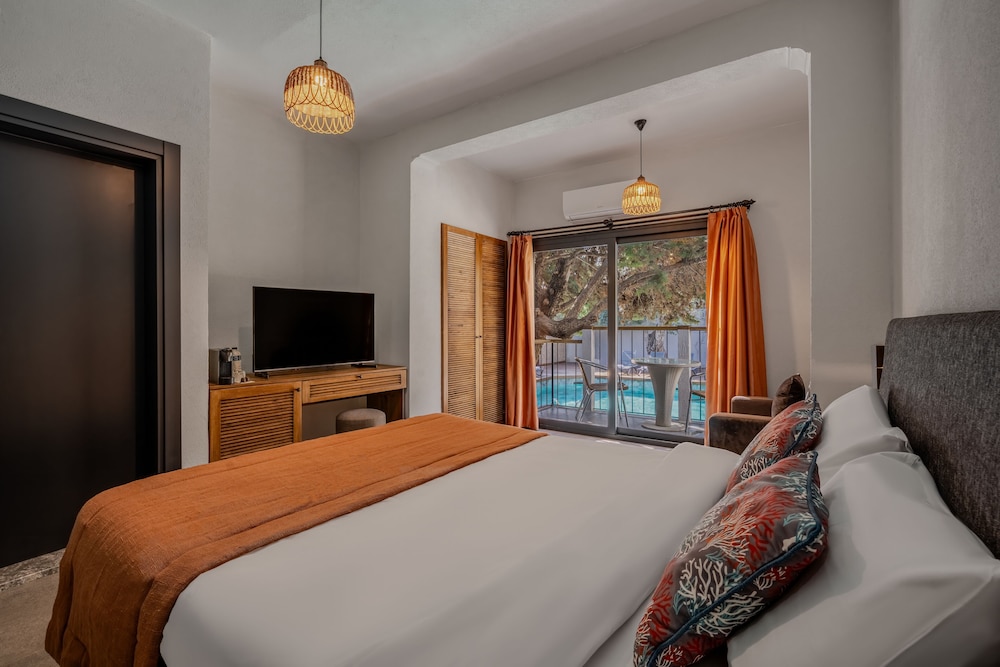 Superior Room photo 1