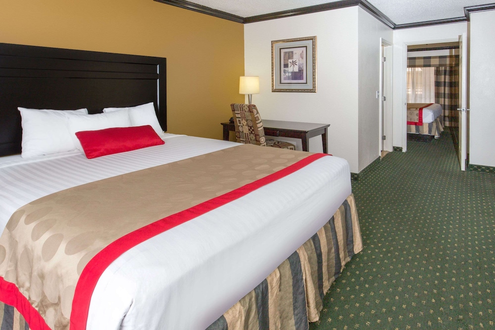 Studio Suite, Multiple Beds, Non Smoking - Photo 5