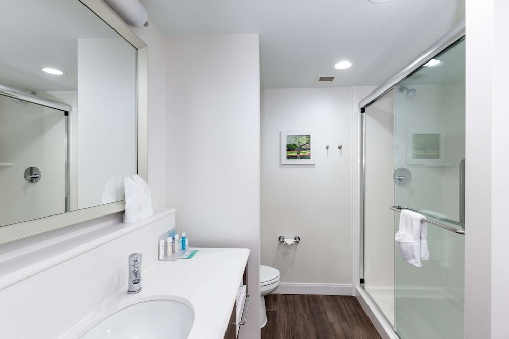 Suite, 1 King Bed, Refrigerator & Microwave, Lake View - Photo 10