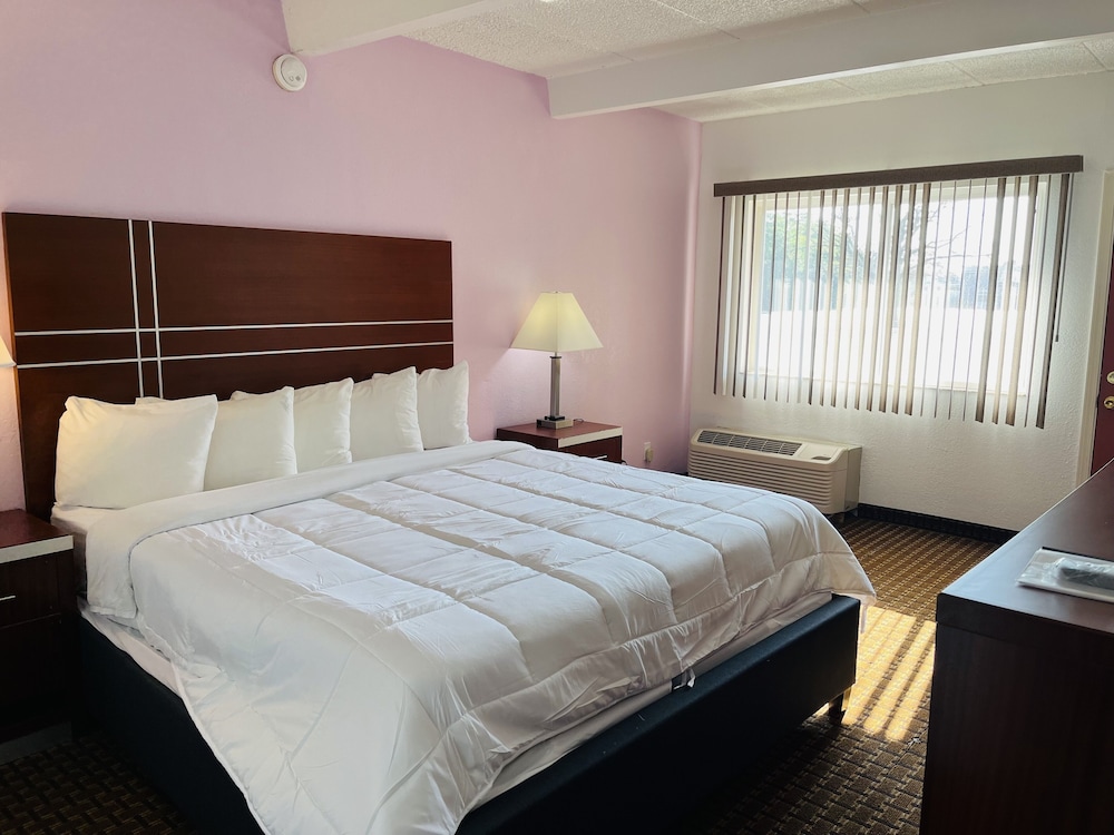 Handicap Basic Single Room 1 King photo 1