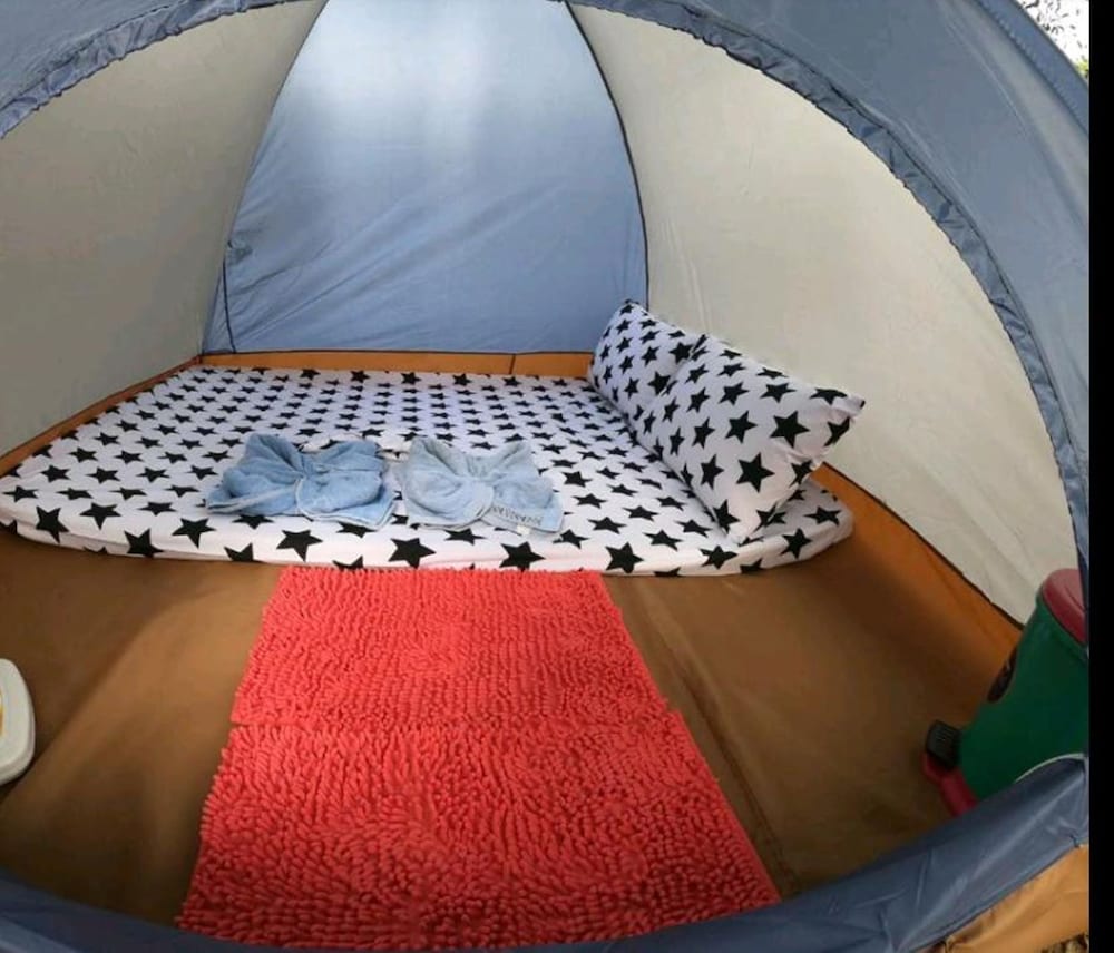 Basic Tent, Mountain View photo 1