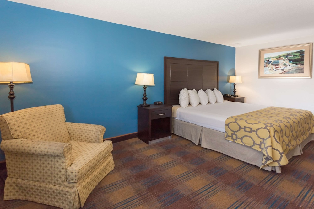 Room, 1 King Bed, Non Smoking - Photo 1