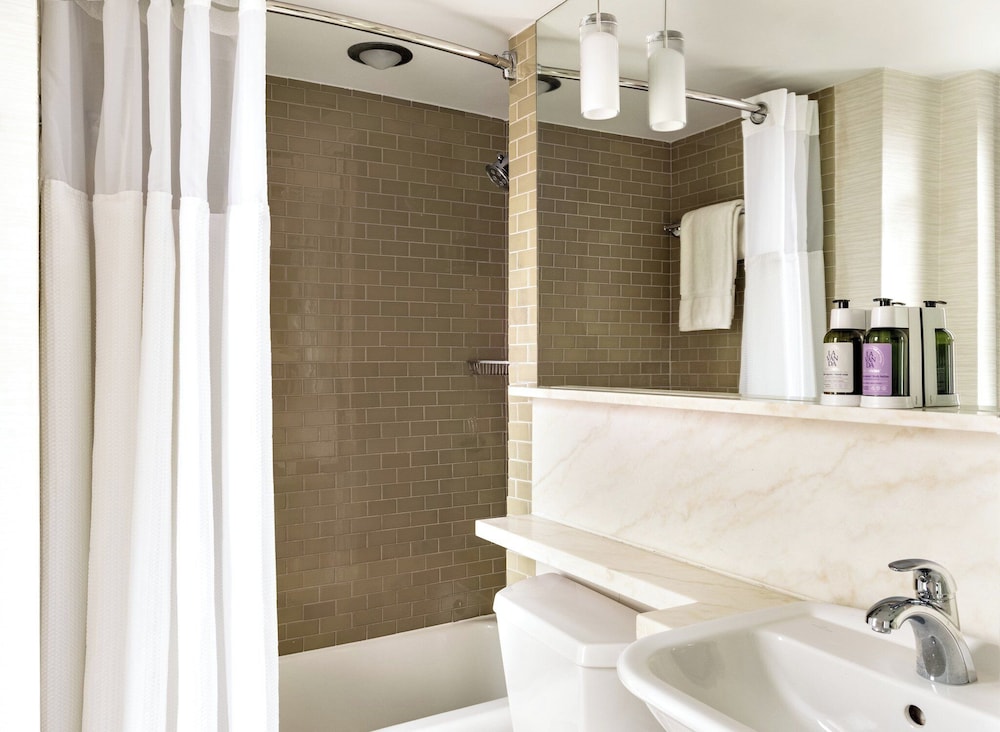 Room, 1 King Bed, Roll-in Shower (Mobility Accessible)