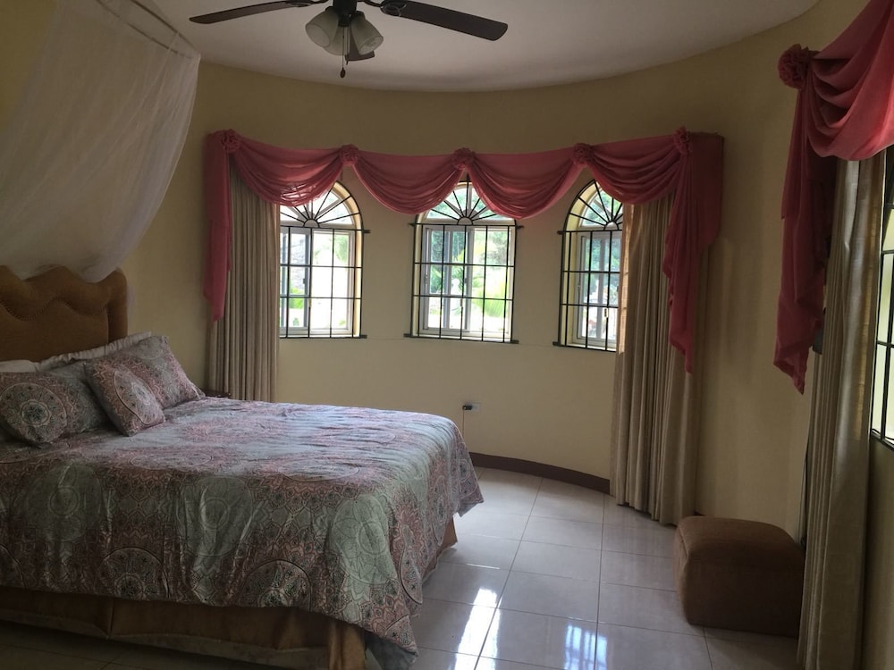 Classic Single Room, 1 Queen Bed photo 1
