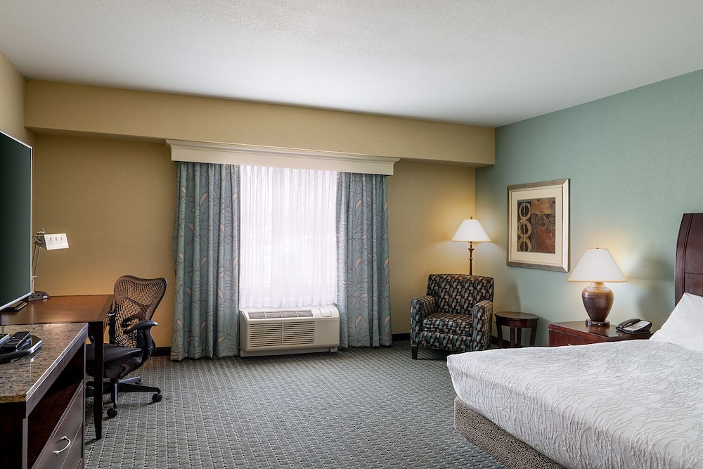 King deluxe evolution suite - Photo 2