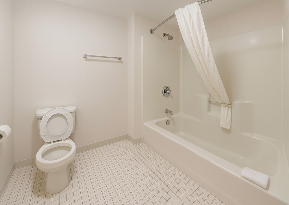Standard Single Room, 1 Queen Bed Pet Friendly photo 2
