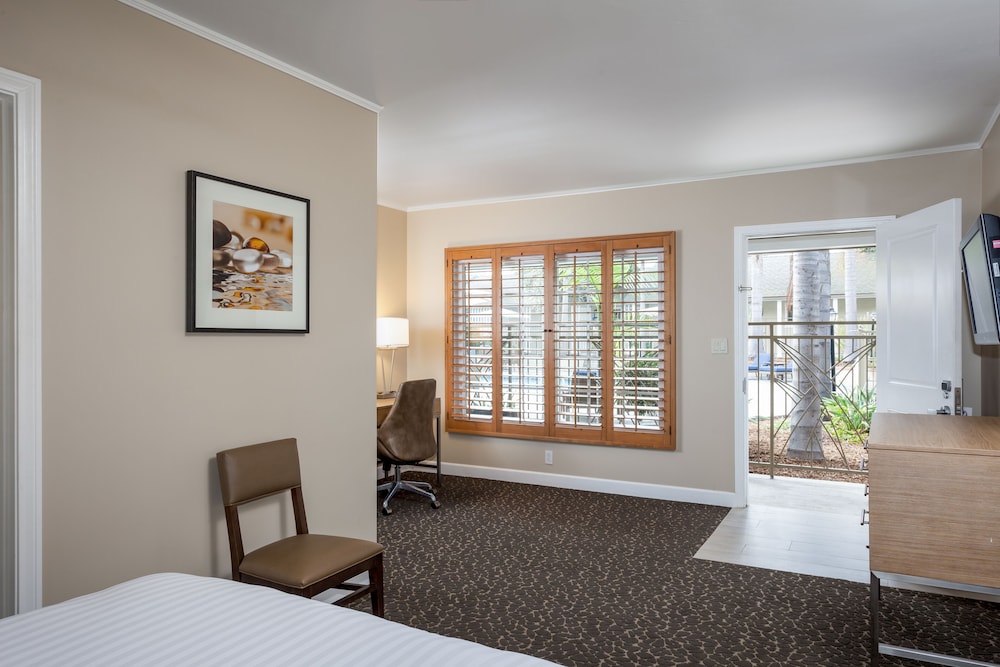 Suite, 1 Queen Bed with Sofa bed thumbnail 5