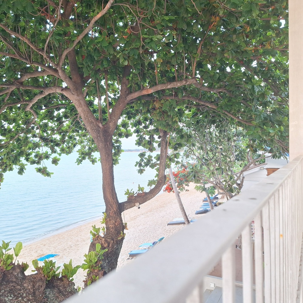 Deluxe Beachfront photo 2