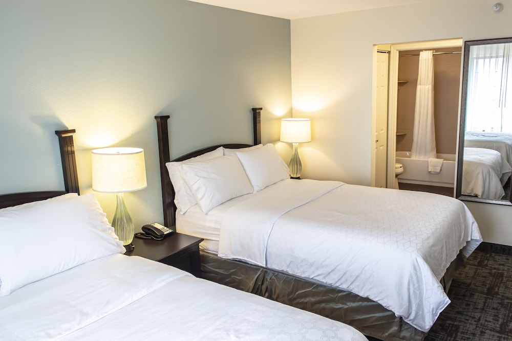 Suite, 1 Bedroom, Kitchen - Photo 1