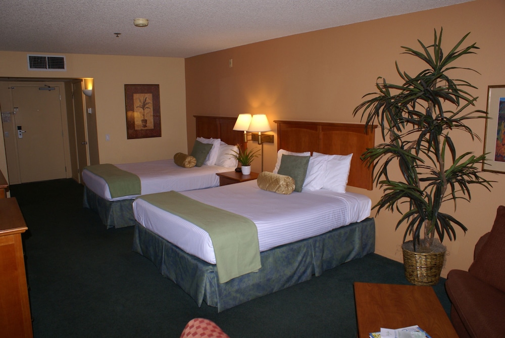 Room, Multiple Beds (Deluxe Poolside Room) - Photo 2