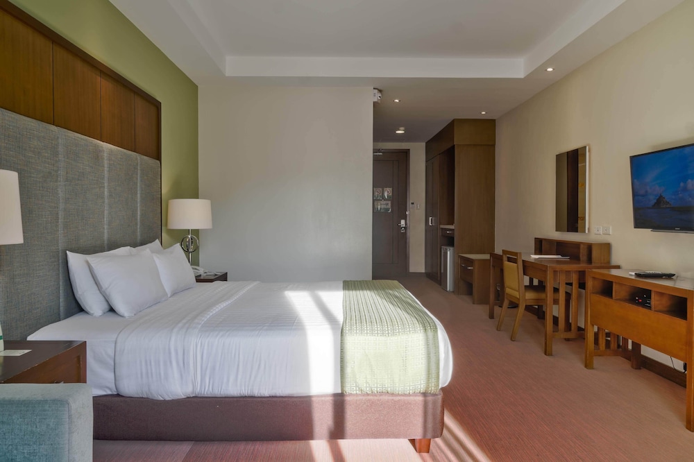 King Suite photo 2