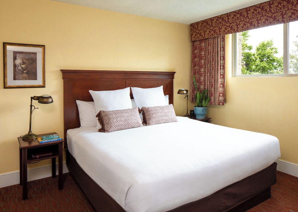 Deluxe Suite, 1 Bedroom, Accessible, Kitchen - Photo 1