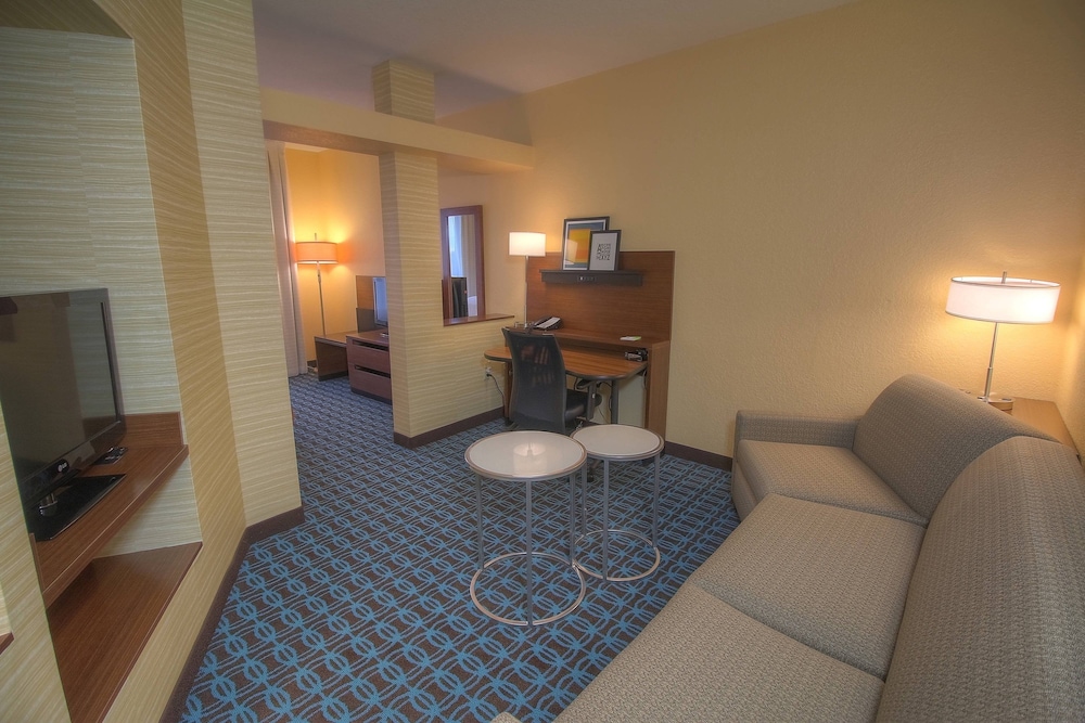 Executive Studio, 1 King Bed with Sofa bed