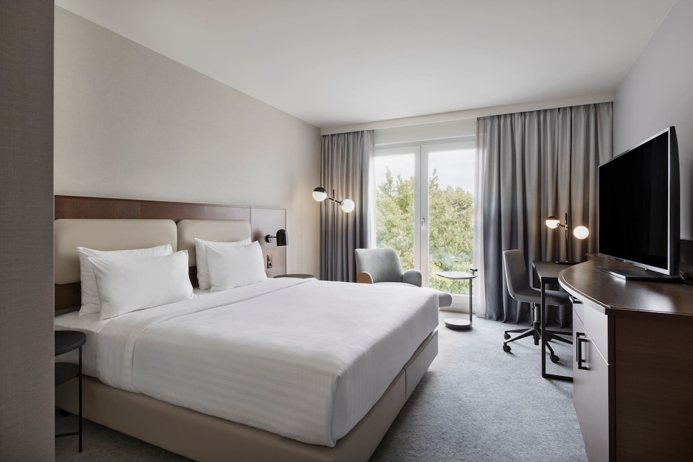 Room, 1 King Bed
