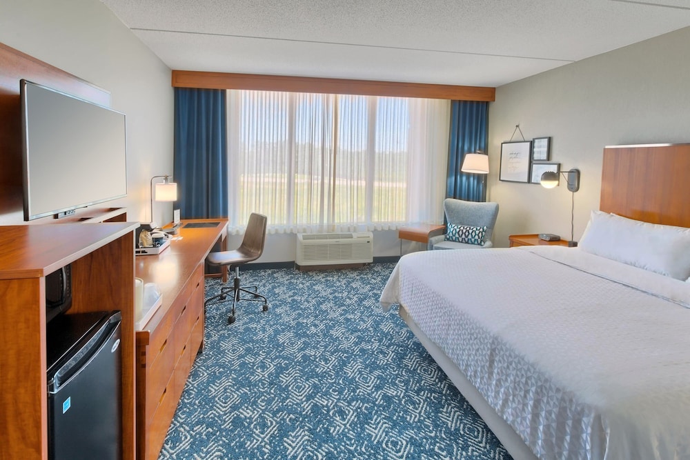 Room, 1 King Bed (Mobility Accessible, Roll-In Shower) - Photo 1