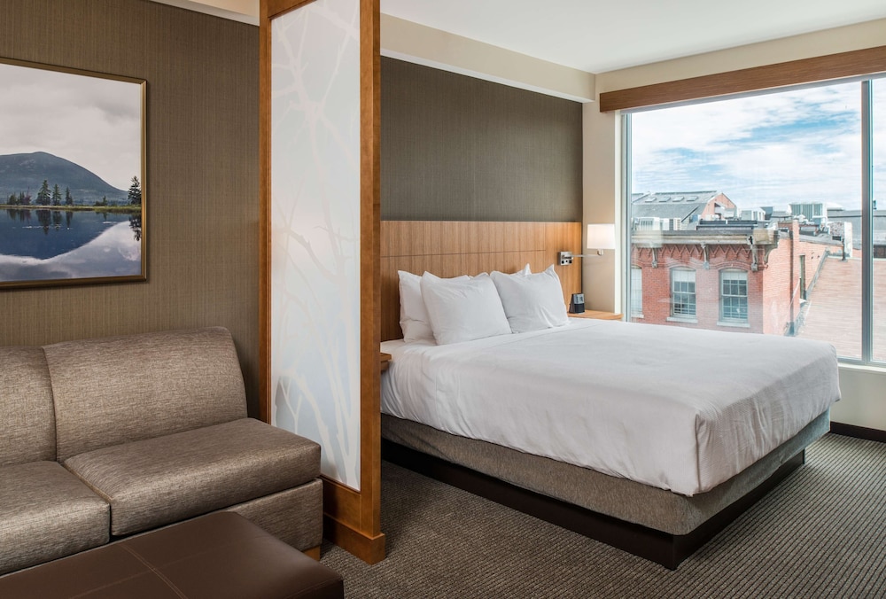 Suite, 1 Bedroom, Accessible (Shower)