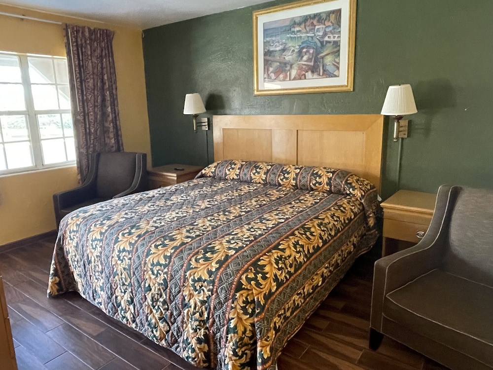 Room, 1 King Bed, Non Smoking photo 1