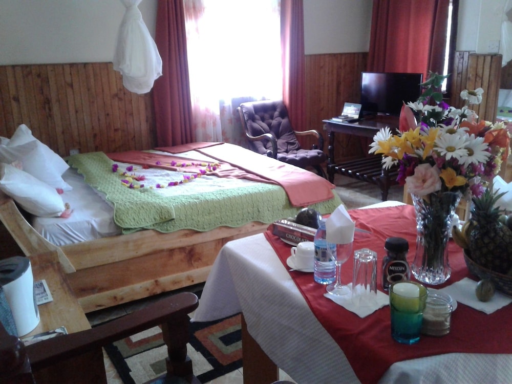 Double or Twin Room photo 3