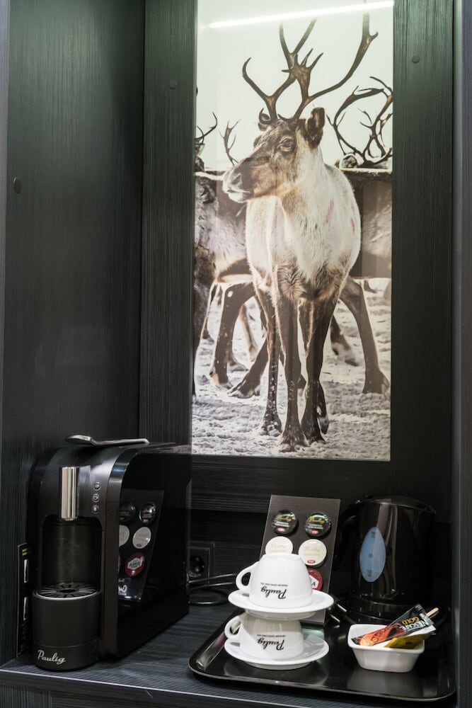 Lapland Suite (with sauna) - Photo 10