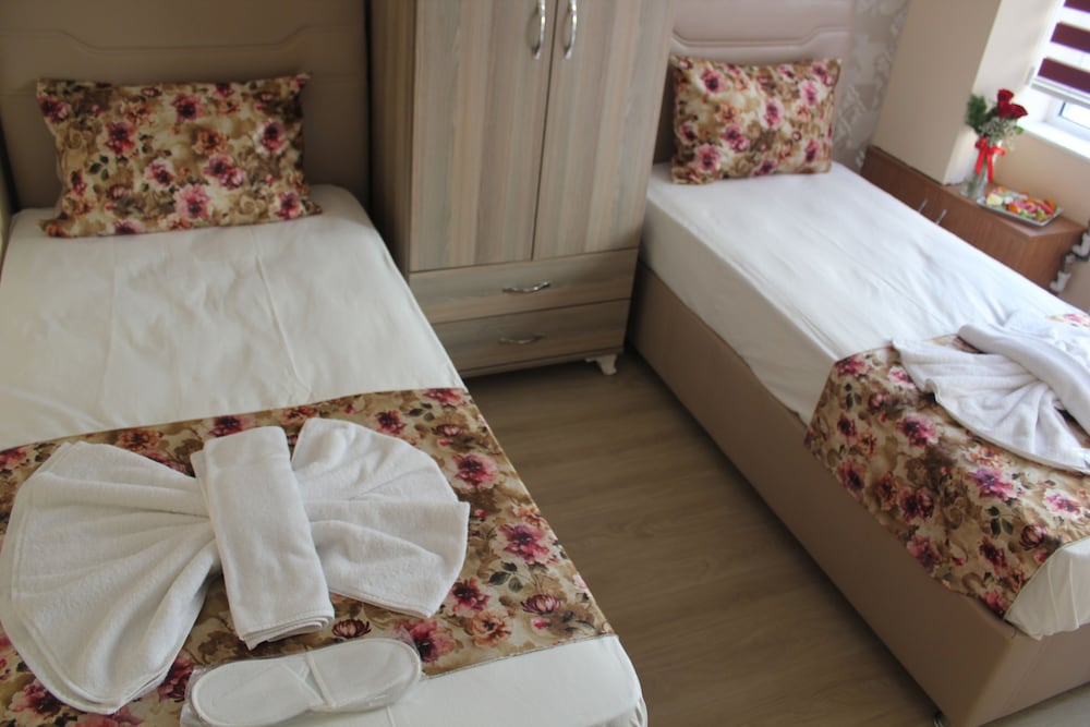 Double or Twin Room photo 3
