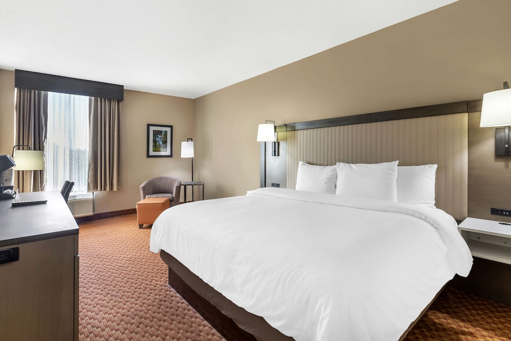 Business Room, 1 King Bed, Non Smoking, Refrigerator