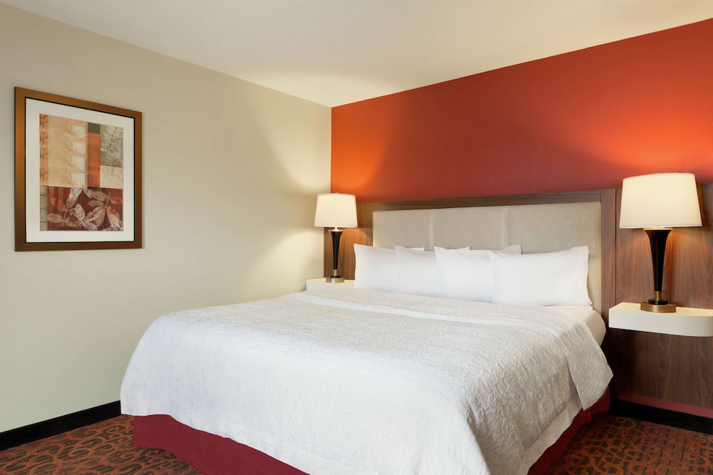 Room, 1 King Bed, Accessible - Photo 5