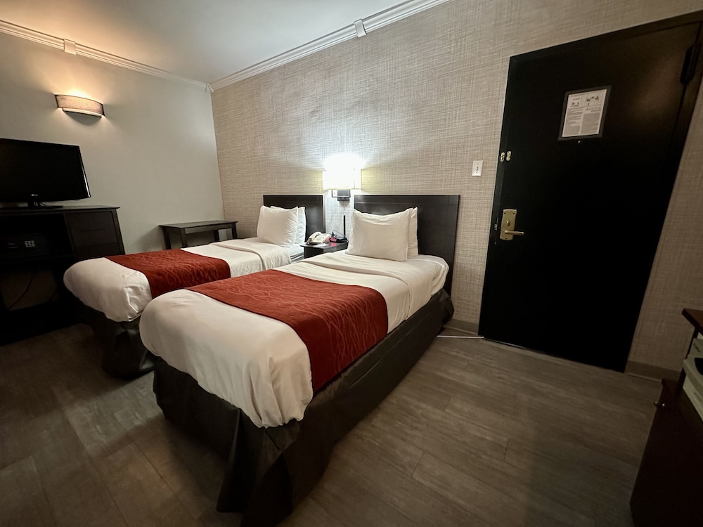Standard Room, 2 Twin Beds, Non Smoking photo 2